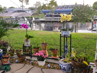 2 Plant stands with shelf. Bronze. Orchids