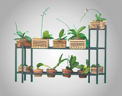 2 Plant Stands with 2 shelves. Bronze.  Orchids.