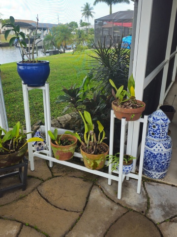 2 Plant stands with shelf. Orchids. White. Custom.